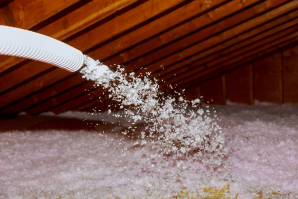 Best Spray Foam Insulation in Bayou Vista, LA