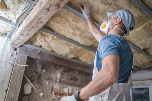 Types of Insulation We Offer in Bayou Vista, LA