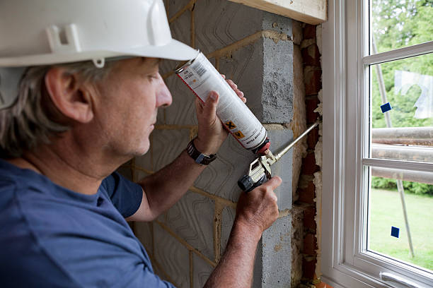 Best Eco-Friendly Insulation in Bayou Vista, LA