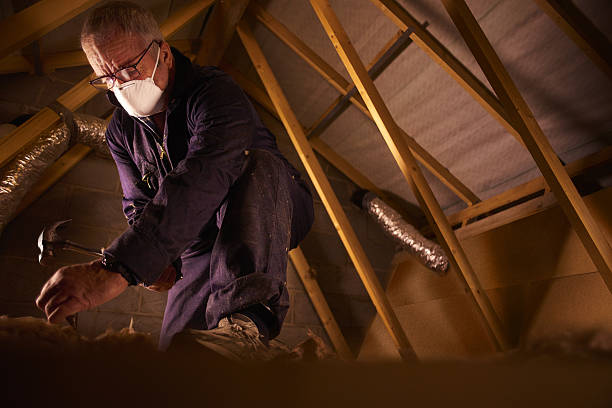 Best Insulation for Specific Applications in Bayou Vista, LA